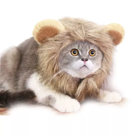 Petmall Capa De Gato De Leão cosplay