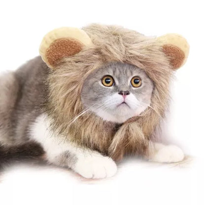 Petmall Capa De Gato De Leão cosplay