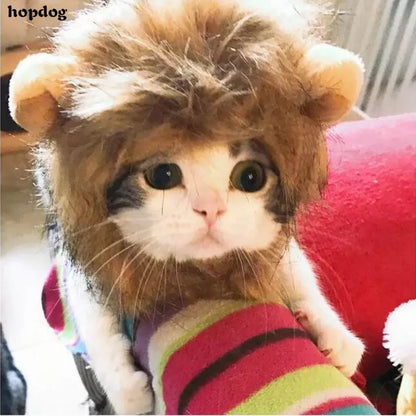 Petmall Capa De Gato De Leão cosplay