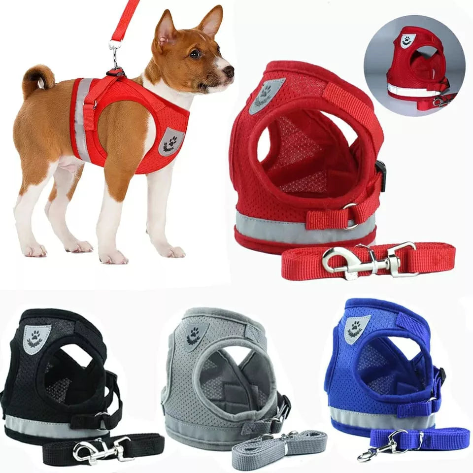 Peitoral Com Guia para Caes E Gatos Colete Regulavel Super Confortavel para Cachorro