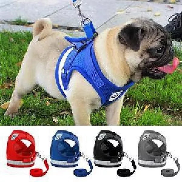 Peitoral Com Guia para Caes E Gatos Colete Regulavel Super Confortavel para Cachorro