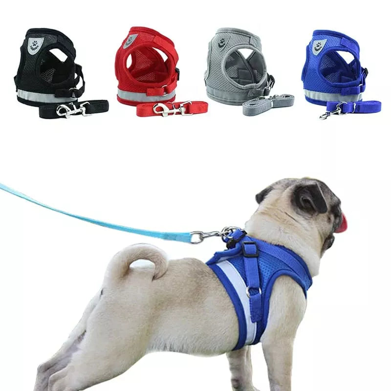 Peitoral Com Guia para Caes E Gatos Colete Regulavel Super Confortavel para Cachorro