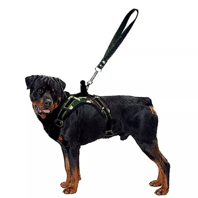 Coleira Peitoral Guia com Amortecedor Peiteira Para Cachorros Fortes