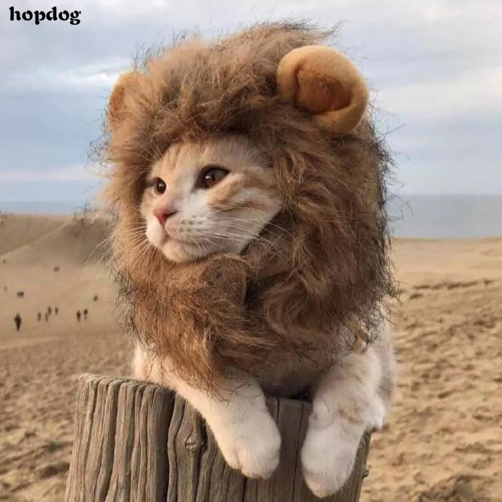 Petmall Capa De Gato De Leão cosplay
