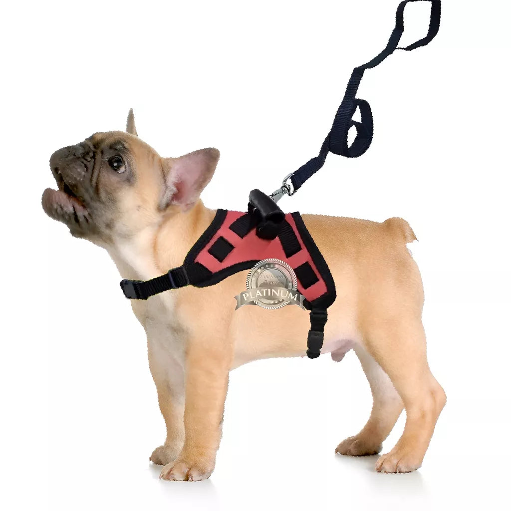 Coleira Peitoral Guia com Amortecedor Peiteira Para Cachorros Fortes