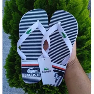 Chinelo Masculino jacare Promoção