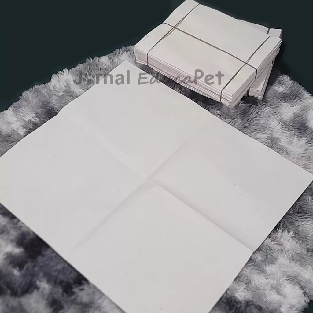 Jornal Pet 1kg Tapete pet Biodegradável FOLHAS GRANDES 96X66