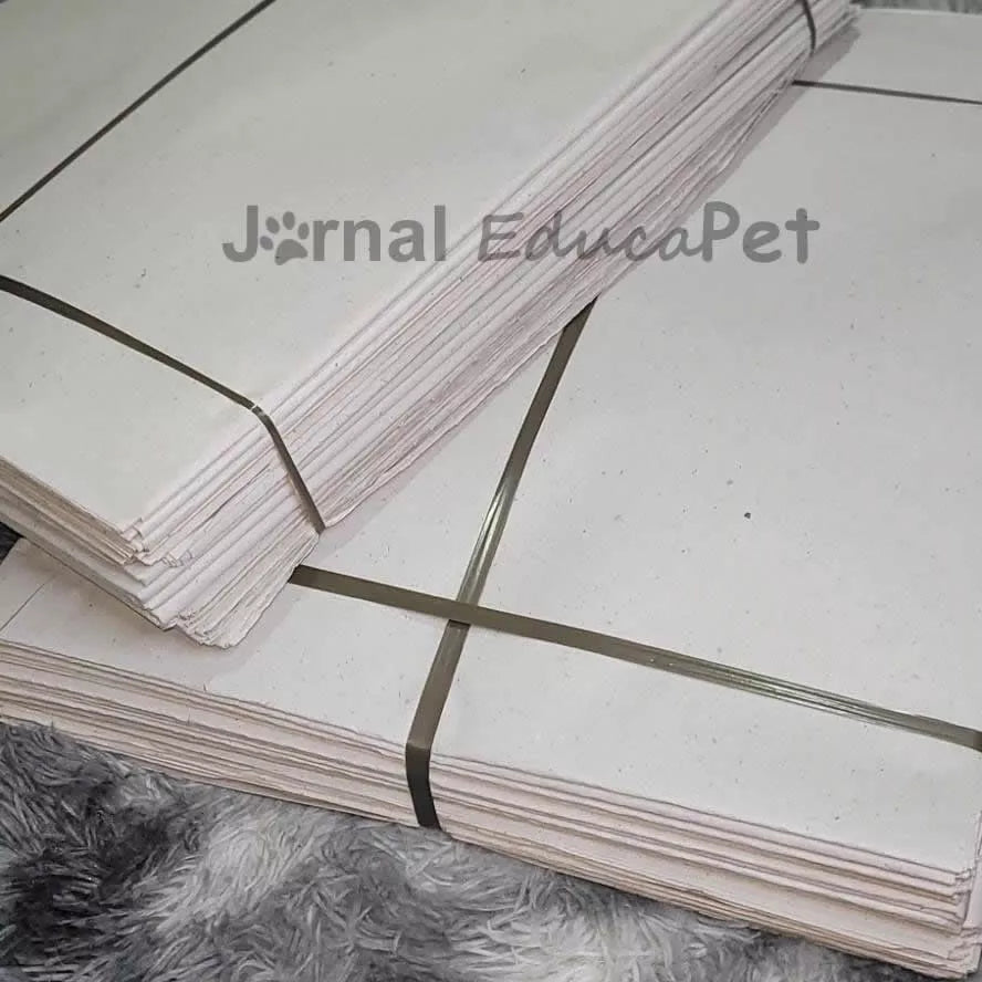 Jornal Pet 1kg Tapete pet Biodegradável FOLHAS GRANDES 96X66